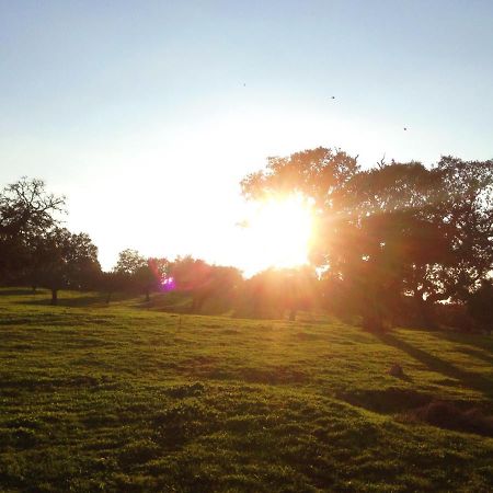Casa De Campo Alter Pedroso Alter do Chão Εξωτερικό φωτογραφία