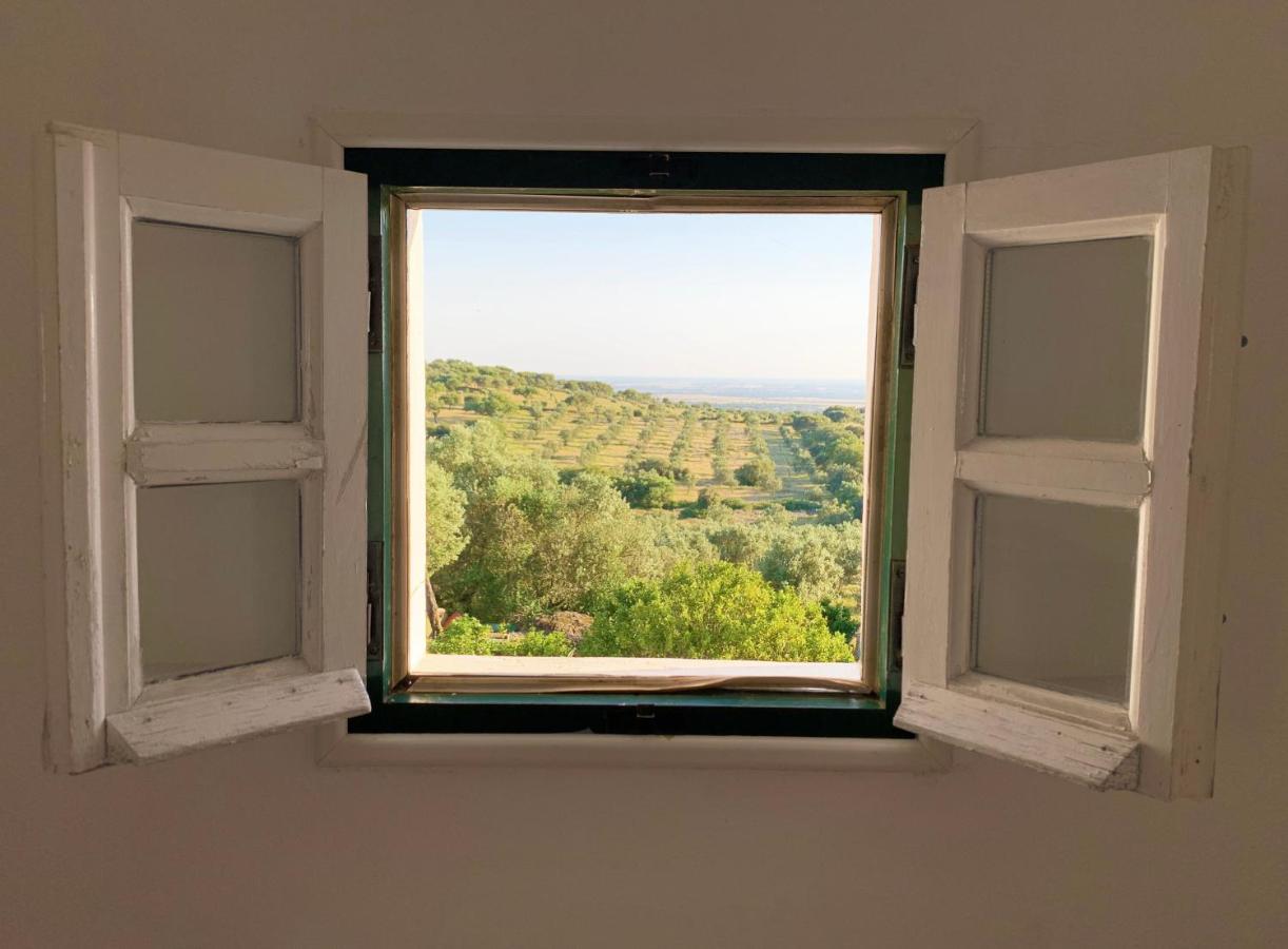 Casa De Campo Alter Pedroso Alter do Chão Εξωτερικό φωτογραφία