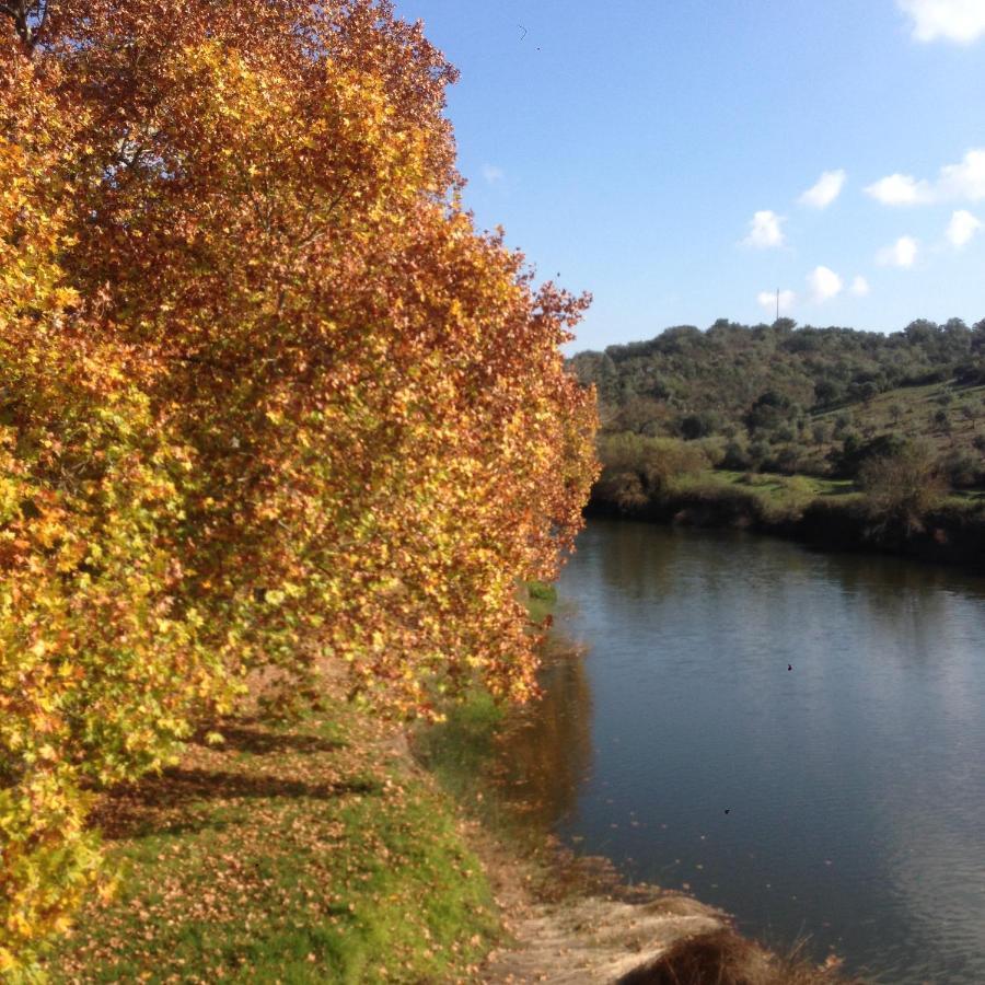 Casa De Campo Alter Pedroso Alter do Chão Εξωτερικό φωτογραφία